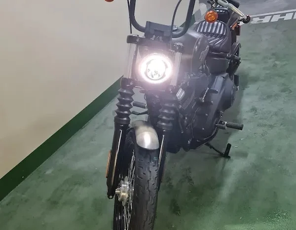 
								2019 Harley-Davidson Street Bob 107 (FXBB) full									