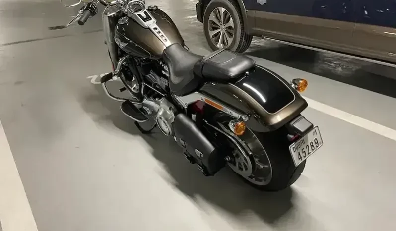 
								2020 Harley-Davidson Fat Boy 114 (FLFBS) full									