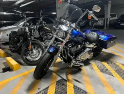 2018 Harley-Davidson Low Rider 107 (FXLR)