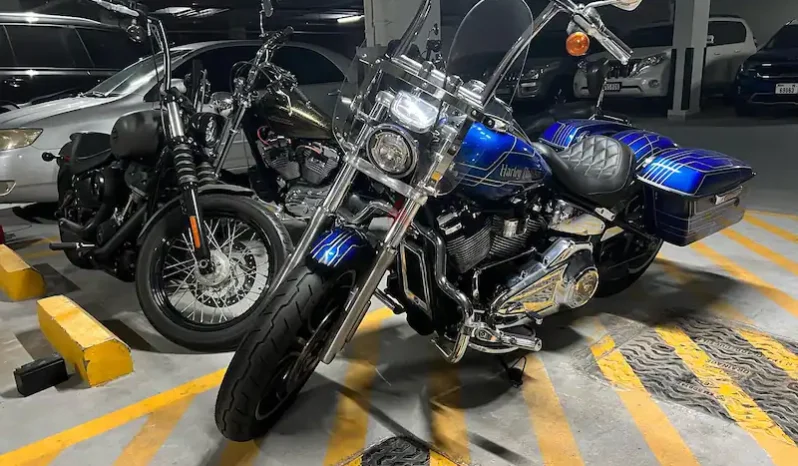 
								2018 Harley-Davidson Low Rider 107 (FXLR) full									
