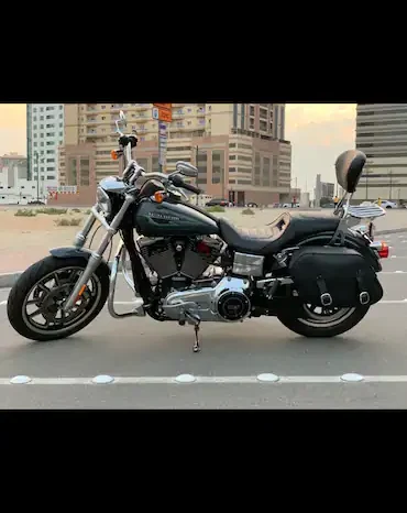 2016 Harley-Davidson Dyna Street Bob 103 (FXDB 103)