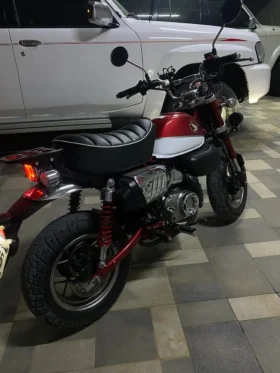 2020 Honda Monkey 125 (Z125MAK)