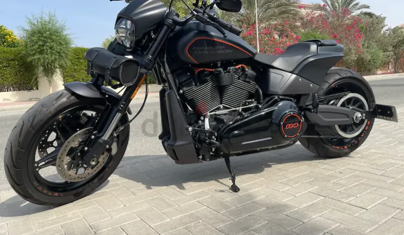 
								2019 Harley-Davidson FXDR 114 (FXDRS) full									
