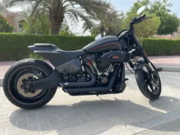 
										2019 Harley-Davidson FXDR 114 (FXDRS) full									