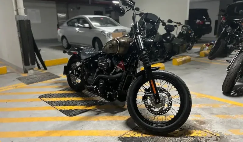 
								2018 Harley-Davidson Street Bob 107 (FXBB) full									
