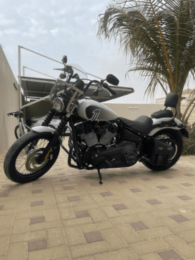 2021 Harley-Davidson Dyna Street Bob Limited 103 (FXDBA)