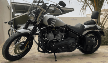 2021 Harley-Davidson Dyna Street Bob Limited 103 (FXDBA)