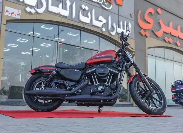 
								2020 Harley-Davidson Iron 883 (XL883N) full									