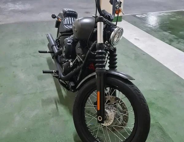 
								2019 Harley-Davidson Street Bob 107 (FXBB) full									
