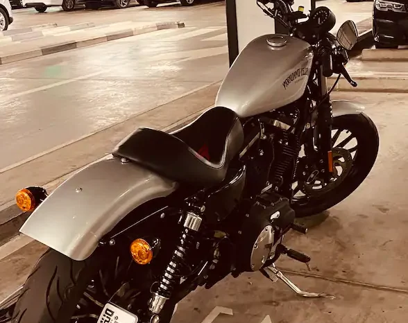 
								2015 Harley-Davidson Iron 883 (XL883N) full									