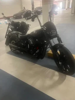 2020 Harley-Davidson Breakout 114 (FXBRS)
