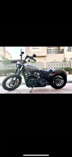 
										2020 Harley-Davidson Street Bob 107 (FXBB) full									