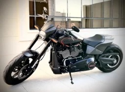 
										2020 Harley-Davidson FXDR 114 (FXDRS) full									