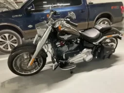 
										2020 Harley-Davidson Fat Boy 114 (FLFBS) full									