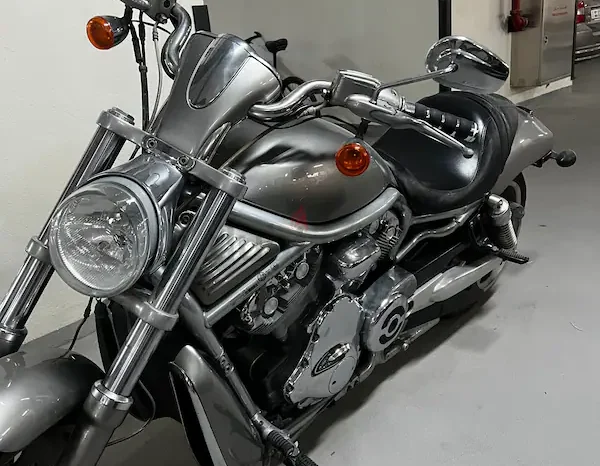 2008 Harley-Davidson V-Rod 1250 (VRSCAW)