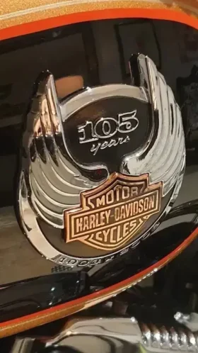 2008 Harley-Davidson Sportster 1200 Custom 105th Anv (XL1200CANV)