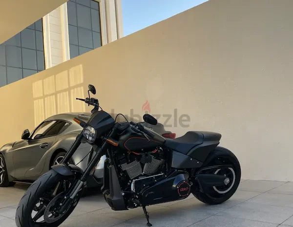 
								2020 Harley-Davidson FXDR 114 (FXDRS) full									