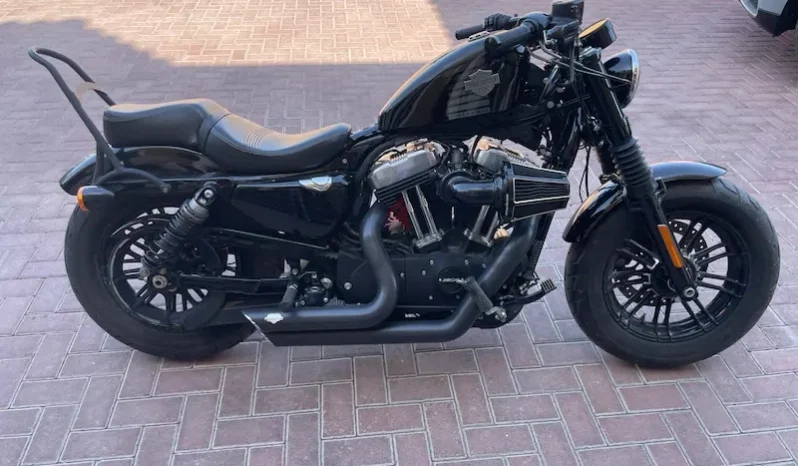 
								2019 Harley-Davidson Forty-Eight (XL1200X) full									