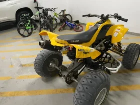 2007 Can-Am DS 450