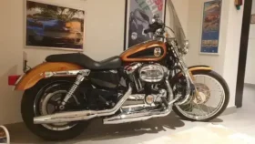 2008 Harley-Davidson Sportster 1200 Custom 105th Anv (XL1200CANV)