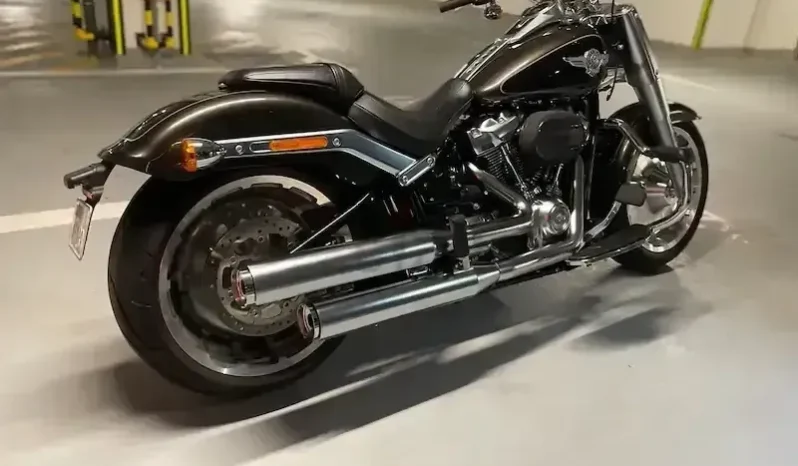 2020 Harley-Davidson Fat Boy 114 (FLFBS)