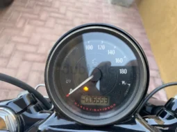 
										2019 Harley-Davidson Forty-Eight (XL1200X) full									