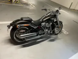 
										2020 Harley-Davidson Fat Boy 114 (FLFBS) full									