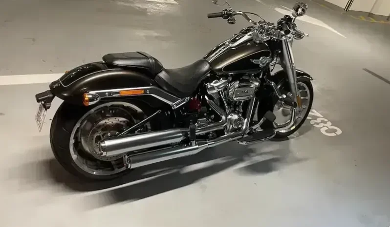 
								2020 Harley-Davidson Fat Boy 114 (FLFBS) full									
