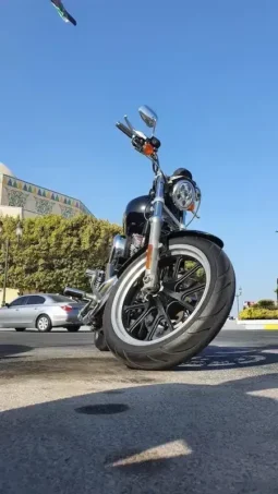 
										2014 Harley-Davidson Iron 883 (XL883N) full									