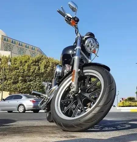 
								2014 Harley-Davidson Iron 883 (XL883N) full									