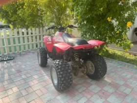 2009 Polaris Trail Blazer 330