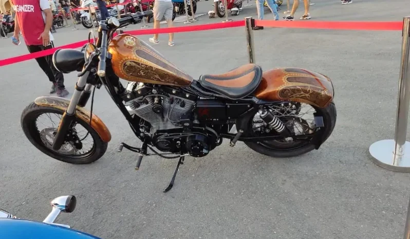 
								1995 Harley-Davidson Sportster 883 Custom (XLH883) full									