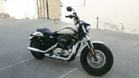 2018 Harley-Davidson 1200 Custom (XL1200C)