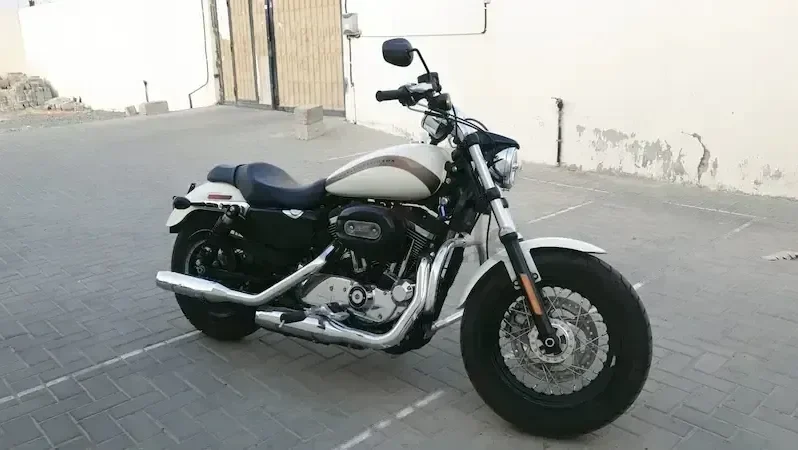
								2018 Harley-Davidson 1200 Custom (XL1200C) full									