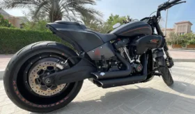 2019 Harley-Davidson FXDR 114 (FXDRS)