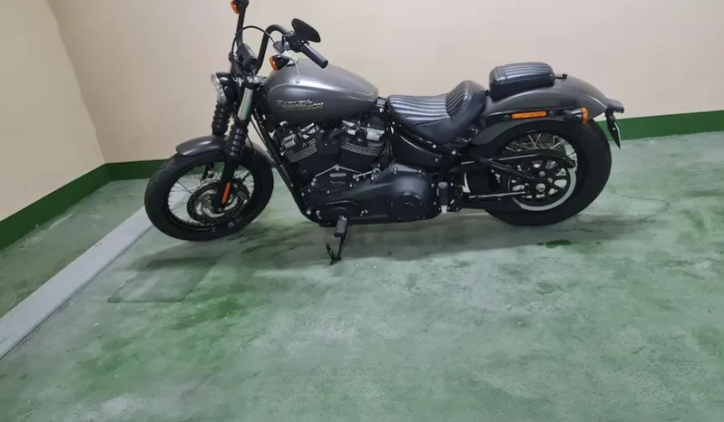 2019 Harley-Davidson Street Bob 107 (FXBB)