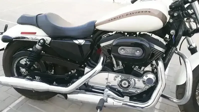 
								2018 Harley-Davidson 1200 Custom (XL1200C) full									
