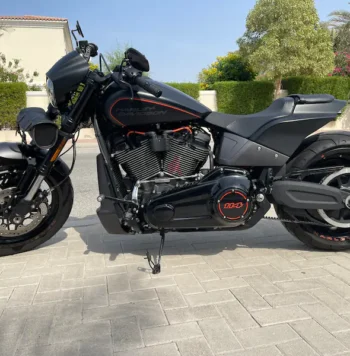 2019 Harley-Davidson FXDR 114 (FXDRS)