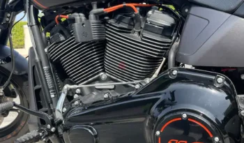 
										2019 Harley-Davidson FXDR 114 (FXDRS) full									
