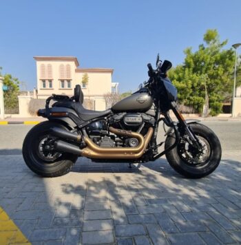 HARLEY-DAVIDSON Fat Bob 114 (Fxfbs) 2018